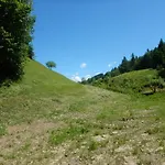 Apartment Franz Johann Aparts - 150m To Slopes *