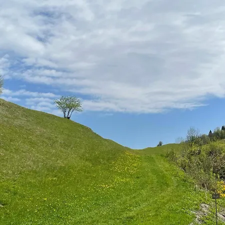 Franz Johann Aparts - 150m To Slopes שלאדמינג