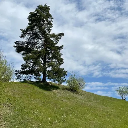 Franz Johann Apartments - 150m to slopes - Reiteralm - by Schladmingurlaub at Apartment Schladming