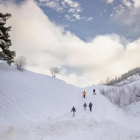 Апартаменты Franz Johann Apartments - 150M To Slopes - Penthouse Mit Eigener Sauna Шладминг