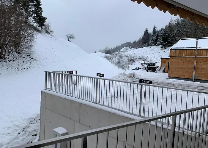 Franz Johann Aparts - 150m To Slopes سخلادميخ