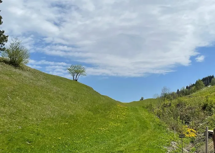 Franz Johann Aparts - 150m To Slopes سخلادميخ