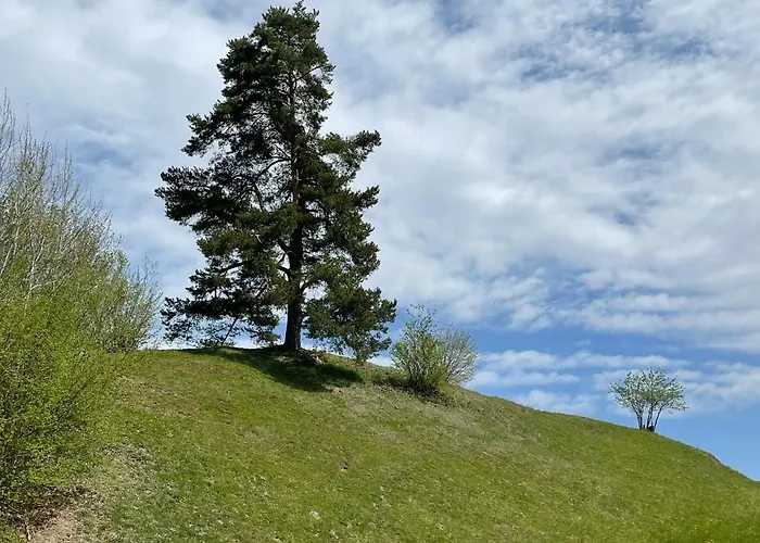 Franz Johann Aparts - 150m To Slopes شقة سخلادميخ