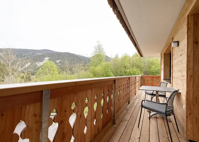 Franz Johann Aparts - 150m To Slopes Appartement Schladming