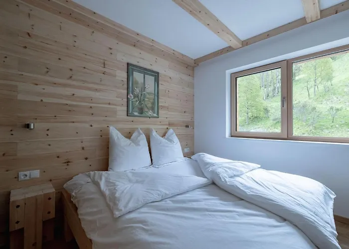 Franz Johann Aparts - 150m To Slopes Appartement Schladming