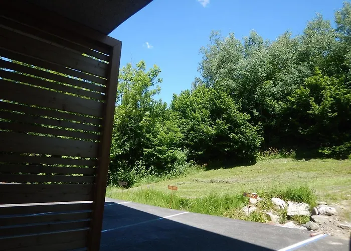 Franz Johann Aparts - 150m To Slopes * Schladming