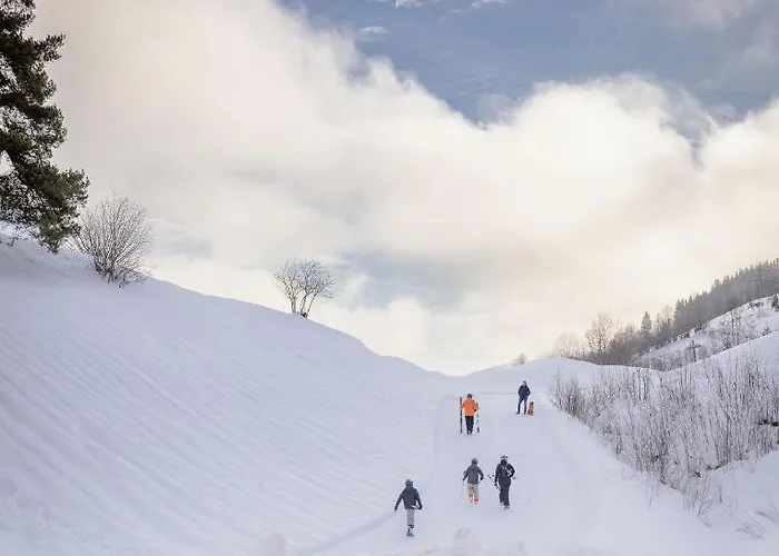 شقة Franz Johann Aparts - 150m To Slopes سخلادميخ